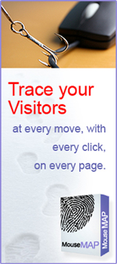 Mouse Map - Track your Visitors interests, see what they are interested in on each page