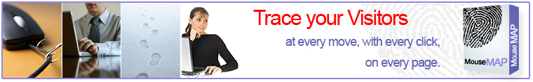 Mouse Map - Find out what your visitors are looking at on your website